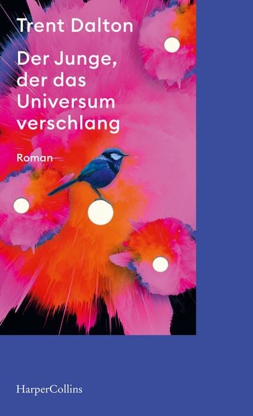 Produktbild: Der Junge, der das Universum verschlang