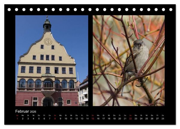 Produktbild: Ulmer Spatzen (Tischkalender 2026 DIN A5 quer), CALVENDO Monatskalender