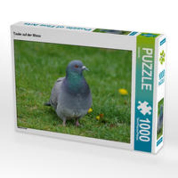 CALVENDO Puzzle Taube auf der Wiese 1000 Teile Lege-Größe 64 x 48 cm Foto-Puzzle Bild von kattobello