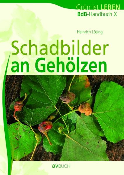 Produktbild: BdB-Handbuch 10. Schadbilder an Geh&ouml;lzen