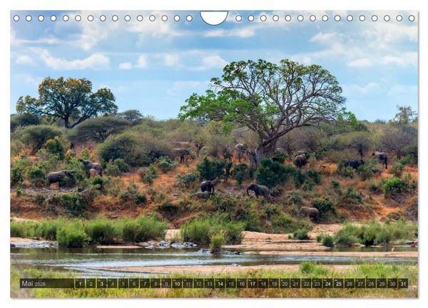 Produktbild: S&uuml;dafrika - Die Landschaft (Wandkalender 2026 DIN A4 quer), CALVENDO Monatskalender