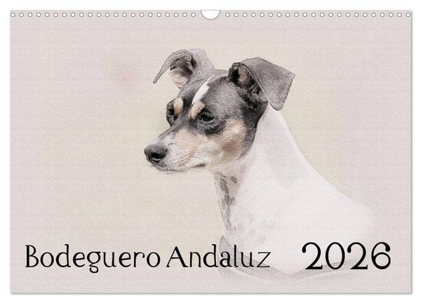 Produktbild: Bodeguero Andaluz 2026 (Wandkalender 2026 DIN A3 quer), CALVENDO Monatskalender