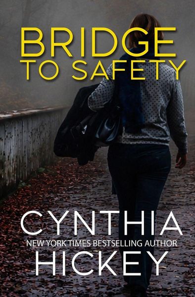 Produktbild: Bridge to Safety