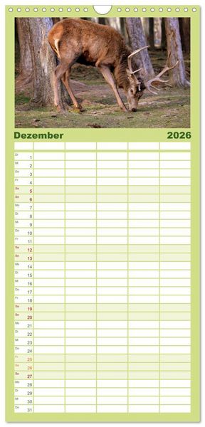 Produktbild: Familienplaner 2026 - Hirsche - K&ouml;nige des Waldes mit 5 Spalten (Wandkalender, 21 x 45 cm) CALVENDO