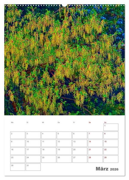 Produktbild: Planen mit dem Symbol der inneren St&auml;rke (Wandkalender 2026 DIN A2 hoch), CALVENDO Monatskalender