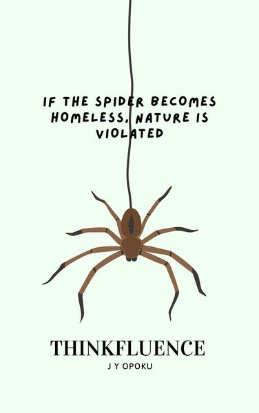 Produktbild: If the Spider Becomes Homeless, Nature is Violated