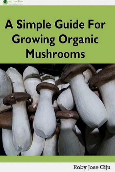 Produktbild: A Simple Guide for Growing Organic Mushrooms
