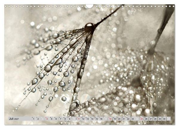 Produktbild: PusteblumenZauber (Wandkalender 2027 DIN A3 quer), CALVENDO Monatskalender