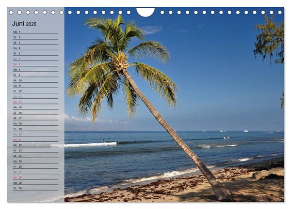 Produktbild: Land of Aloha - Hawaii Monatsplaner (Wandkalender 2026 DIN A4 quer), CALVENDO Monatskalender