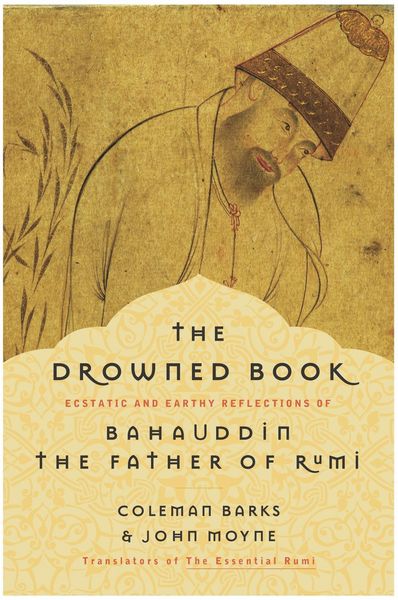 Produktbild: The Drowned Book