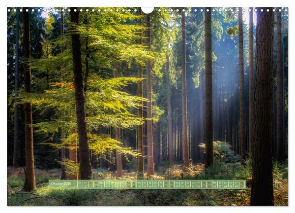 Produktbild: Zauber des Lichts (Wandkalender 2026 DIN A3 quer), CALVENDO Monatskalender