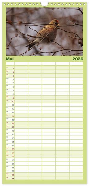 Produktbild: Familienplaner 2026 - Die farbenfrohe Welt der Finken mit 5 Spalten (Wandkalender, 21 x 45 cm) CALVENDO