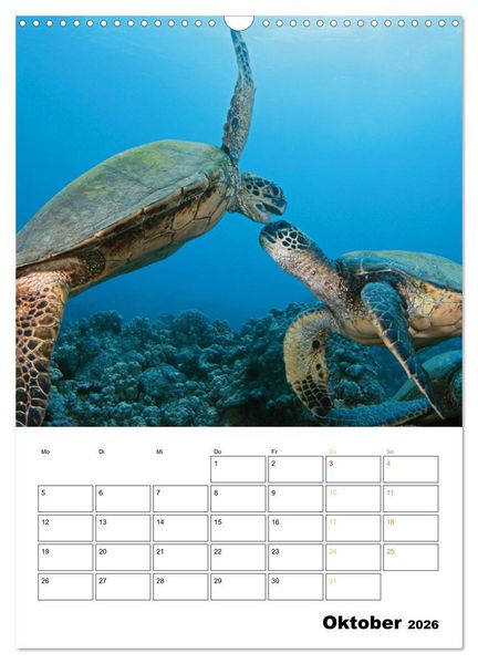 Produktbild: Wunderbare Wasserwelt der Meeresschildkr&ouml;ten (Wandkalender 2026 DIN A3 hoch), CALVENDO Monatskalender