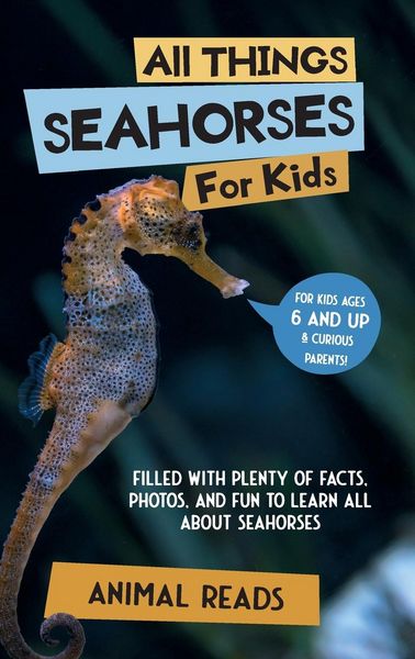 Produktbild: All Things Seahorses For Kids