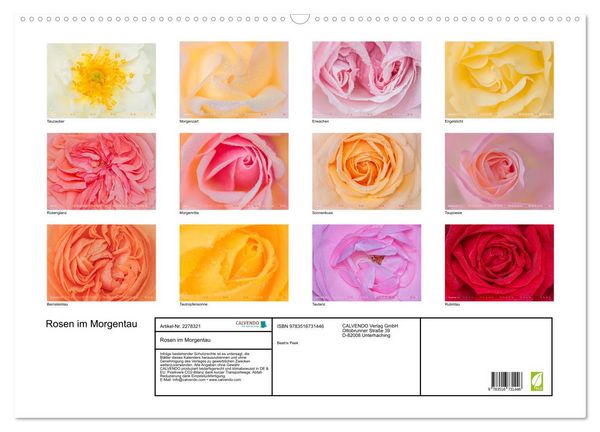 Produktbild: Rosen im Morgentau (Wandkalender 2026 DIN A2 quer), CALVENDO Monatskalender