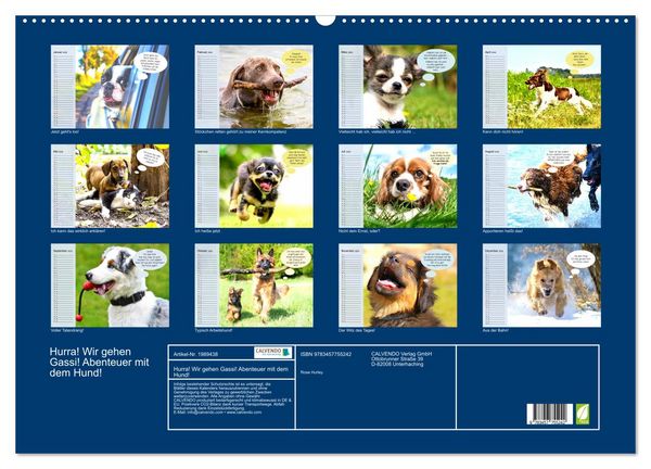 Produktbild: Hurra! Wir gehen Gassi! Abenteuer mit dem Hund! (Wandkalender 2026 DIN A2 quer), CALVENDO Monatskalender