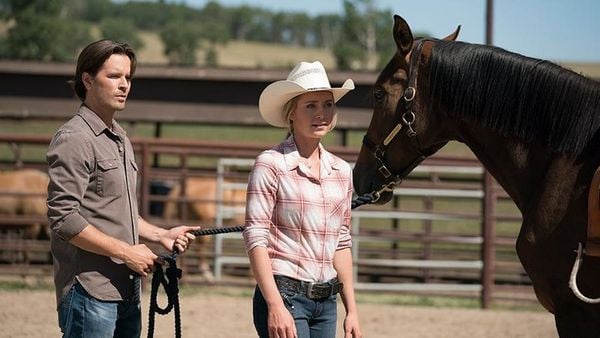 Produktbild: Heartland - Paradies f&uuml;r Pferde - Staffel 11.1 [3 DVDs]
