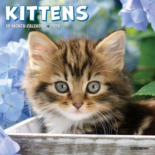 Produktbild: Kittens 2026 Mini Wall Calendar