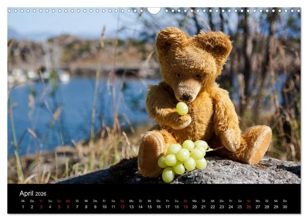 Produktbild: Teddy Basse, Fortsetzung... (Wandkalender 2026 DIN A3 quer), CALVENDO Monatskalender
