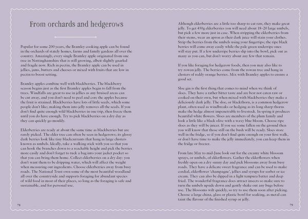 Produktbild: The National Trust Book of Jam