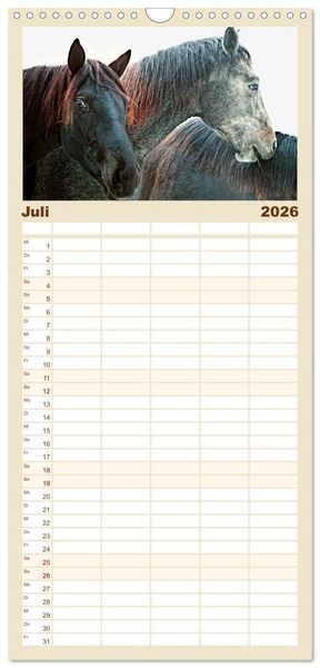 Produktbild: Familienplaner 2026 - Pferde - kraftvolle Eleganz mit 5 Spalten (Wandkalender, 21 x 45 cm) CALVENDO