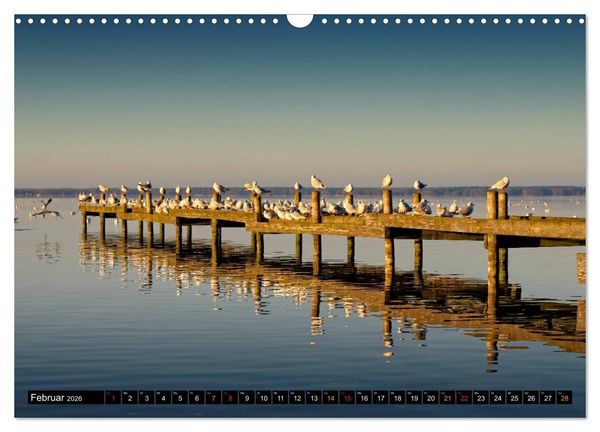 Produktbild: Steinhuder Meer - Steinhude (Wandkalender 2026 DIN A3 quer), CALVENDO Monatskalender