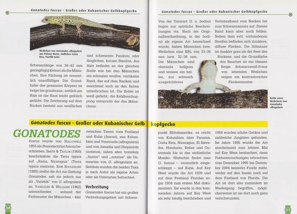 Produktbild: Neotropische Taggeckos
