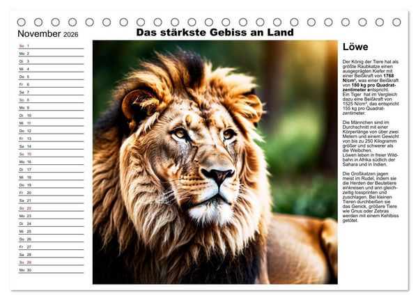 Produktbild: Tierische Rekorde (Tischkalender 2026 DIN A5 quer), CALVENDO Monatskalender