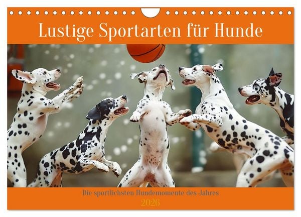 Produktbild: Lustige Sportarten f&uuml;r Hunde (Wandkalender 2026 DIN A4 quer), CALVENDO Monatskalender