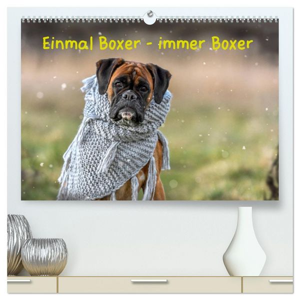 Produktbild: Einmal Boxer - immer Boxer (hochwertiger Premium Wandkalender 2026 DIN A2 quer), Kunstdruck in Hochglanz