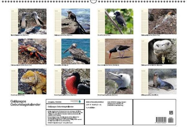 Produktbild: Gal&aacute;pagos Geburtstagskalender (Wandkalender immerw&auml;hrend DIN A2 quer)