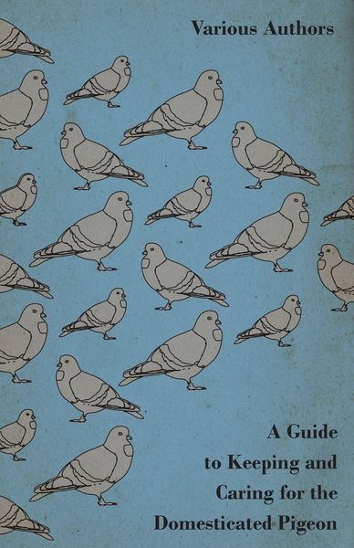 Produktbild: A Guide to Keeping and Caring for the Domesticated Pigeon
