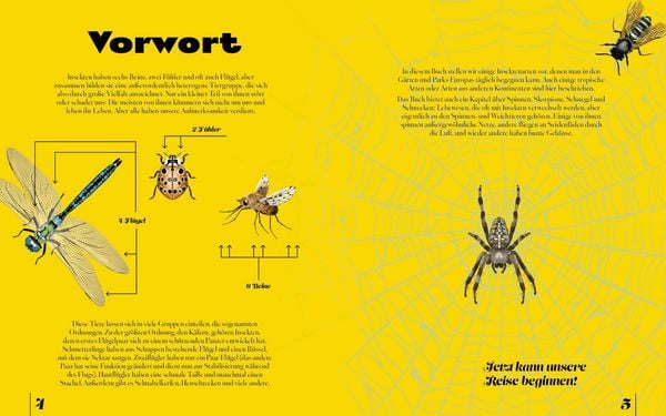 Produktbild: Insekten & Krabbeltiere