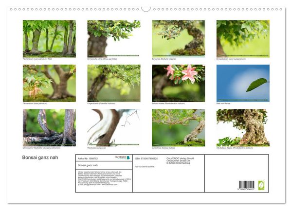 Produktbild: Bonsai ganz nah (Wandkalender 2026 DIN A2 quer), CALVENDO Monatskalender