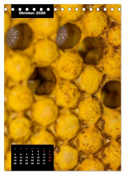 Produktbild: Bienen in ihrem geheimen Reich (Tischkalender 2026 DIN A5 hoch), CALVENDO Monatskalender