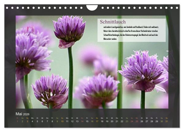 Produktbild: Outdoor-Survival-Kalender (Wandkalender 2026 DIN A4 quer), CALVENDO Monatskalender