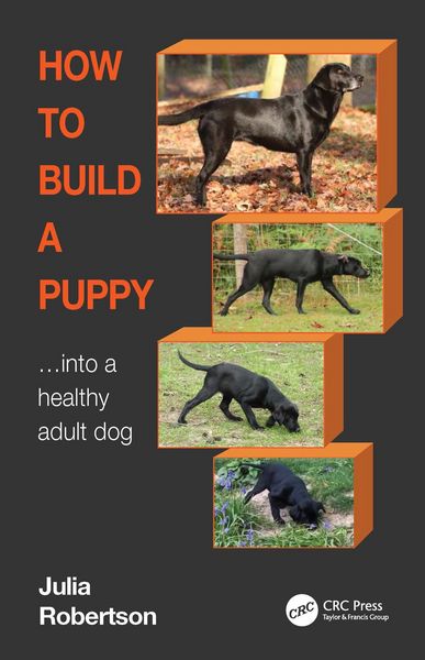 Produktbild: How to Build a Puppy