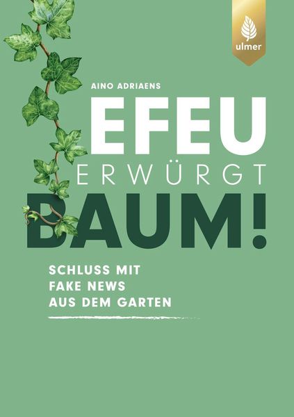 Produktbild: Efeu erw&uuml;rgt Baum