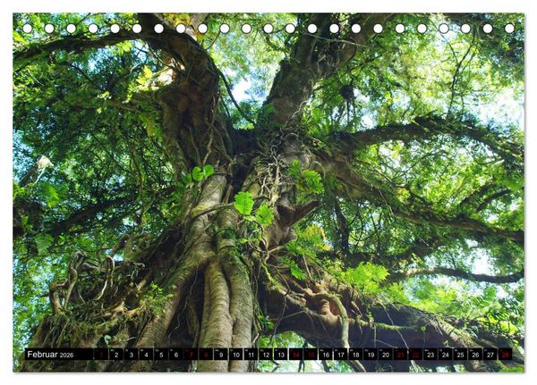 Produktbild: Bali. Im Reich der G&ouml;tter (Tischkalender 2026 DIN A5 quer), CALVENDO Monatskalender