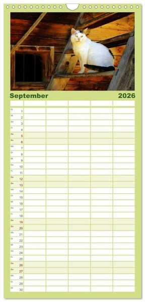 Produktbild: Familienplaner 2026 - Muh, M&auml;h, Miau & Co mit 5 Spalten (Wandkalender, 21 x 45 cm) CALVENDO