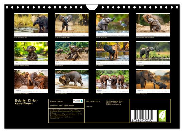 Produktbild: Elefanten Kinder - kleine Riesen (Wandkalender 2026 DIN A4 quer), CALVENDO Monatskalender