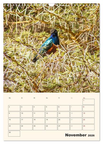 Produktbild: Kenia &ndash; Terminplaner (Wandkalender 2026 DIN A3 hoch), CALVENDO Monatskalender