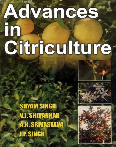 Produktbild: Advances In Citriculture