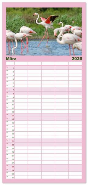 Produktbild: Familienplaner 2026 - The Power Of Pink mit 5 Spalten (Wandkalender, 21 x 45 cm) CALVENDO