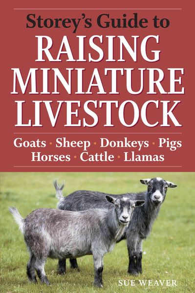 Produktbild: Storey's Guide to Raising Miniature Livestock