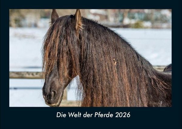 Produktbild: Die Welt der Pferde 2026 Fotokalender DIN A4