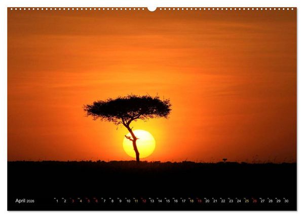 Produktbild: Traumlandschaften Kenia (hochwertiger Premium Wandkalender 2026 DIN A2 quer), Kunstdruck in Hochglanz