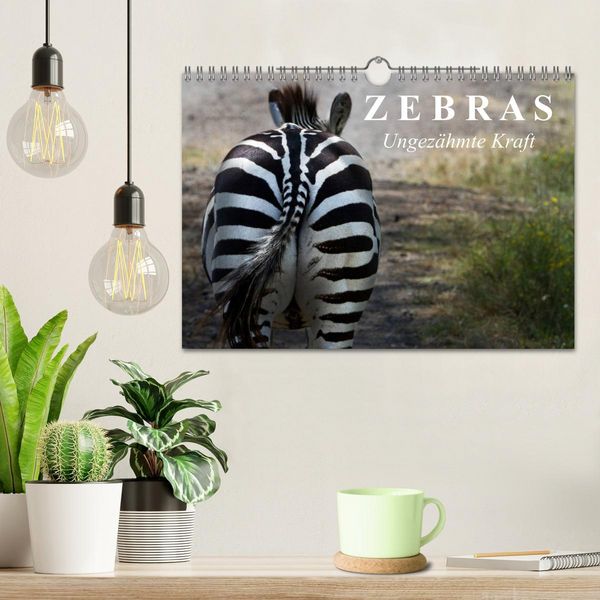 Produktbild: Zebras - Ungez&auml;hmte Kraft (Wandkalender 2026 DIN A4 quer), CALVENDO Monatskalender