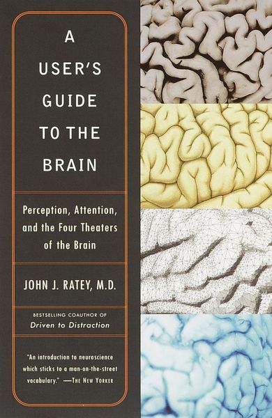Produktbild: A User's Guide to the Brain