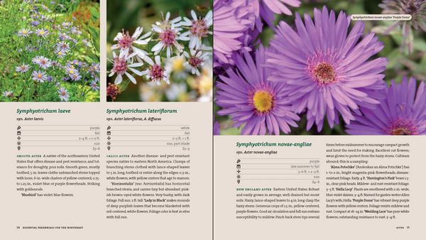 Produktbild: Perennials for the Northeast